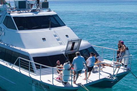 Ocean Freedom Great Barrier Reef Personal Luxury Snorkel & Dive Cruise, Cairns - Accommodation Newcastle 1