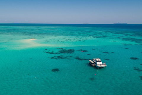 Ocean Freedom Great Barrier Reef Personal Luxury Snorkel & Dive Cruise, Cairns - Accommodation Newcastle 2