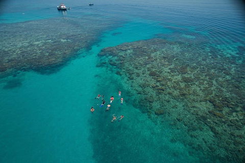 Ocean Freedom Great Barrier Reef Personal Luxury Snorkel & Dive Cruise, Cairns - Accommodation Newcastle 3