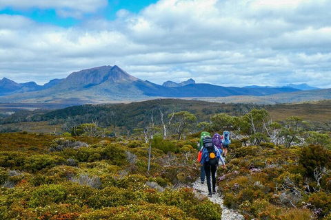 6 Day Trek The Cradle Mountain Overland Track - Accommodation Newcastle 5