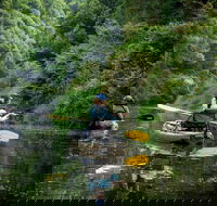 Byron Bay Rainforest Fishing - Accommodation Newcastle