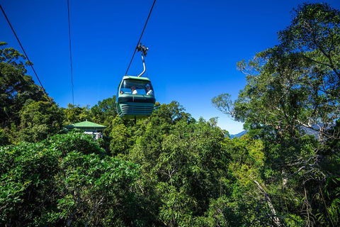 Classic Kuranda By Skyrail And Scenic Railway Including Rainforestation, Koala And Wildlife Park And Pamagirri Aboriginal Experi - Accommodation Newcastle 0