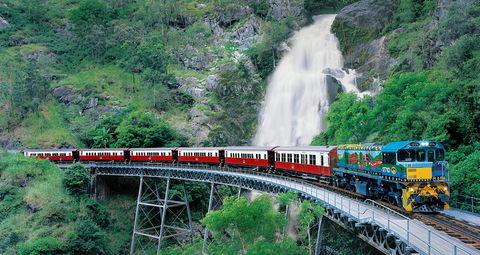 Classic Kuranda By Skyrail And Scenic Railway Including Rainforestation, Koala And Wildlife Park And Pamagirri Aboriginal Experi - Accommodation Newcastle 1