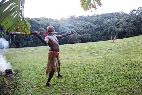 Classic Kuranda By Skyrail And Scenic Railway Including Rainforestation, Koala And Wildlife Park And Pamagirri Aboriginal Experi - Accommodation Newcastle 5