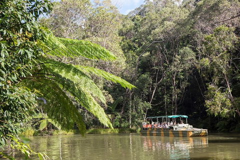 Best Of Kuranda Including Skyrail, Kuranda Scenic Railway And Rainforestation - Accommodation Newcastle 5