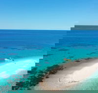 Ocean Safari Great Barrier Reef Experience in Cape Tribulation - Accommodation Newcastle