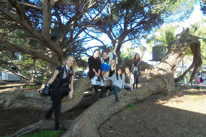  Accommodation Newcastle