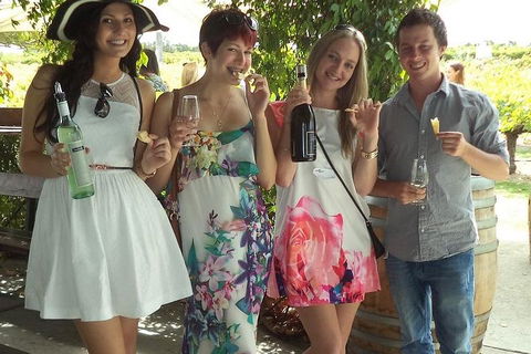 1/2 Day Swan Valley Wine Cheese & Chocolate Tour Inc Afternoon Cruise To Perth - Accommodation Newcastle 4