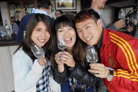 Wine Tasting Day Trip And Swan Valley River Cruise To Perth - Accommodation Newcastle 3