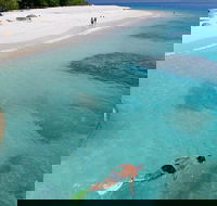 Fitzroy Island Day Trip from Cairns - Accommodation Newcastle