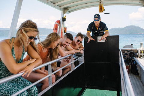 Fitzroy Island Day Trip From Cairns - Accommodation Newcastle 4