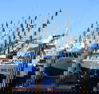 One Day Port Lincoln Tour - Tasting Eyre - Accommodation Newcastle
