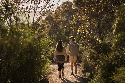 One Day Port Lincoln Tour - Tasting Eyre - Accommodation Newcastle 5