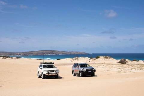 3 Day Port Lincoln And Coffin Bay Private Tour - Accommodation Newcastle 0