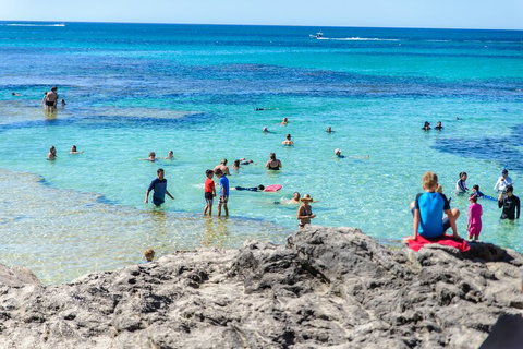 Rottnest Island Roundtrip Fast Ferry From Hillarys Boat Harbour - Accommodation Newcastle 1