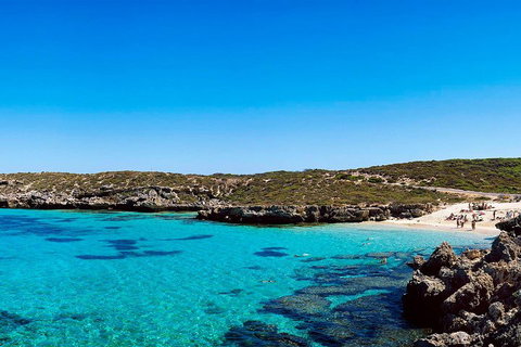 Rottnest Island Roundtrip Fast Ferry From Hillarys Boat Harbour - Accommodation Newcastle 4