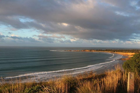 Private Great Ocean Road Day Tour With Early Departure & Early Return (11 Hours) - Accommodation Newcastle 0