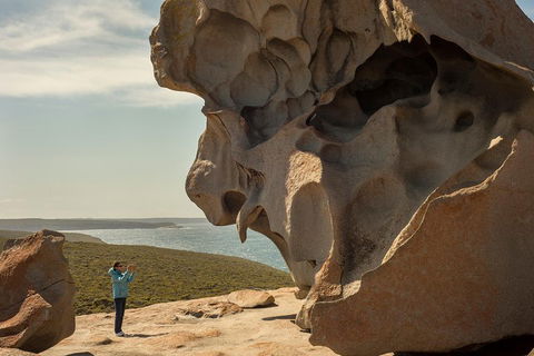 Kangaroo Island In A Day Tour From Adelaide - Accommodation Newcastle 5