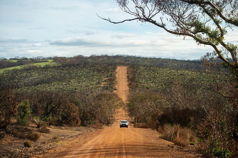 NEW TOUR - Kangaroo Island Road To Recovery Tour (1 Day/1 Night) - Accommodation Newcastle 2