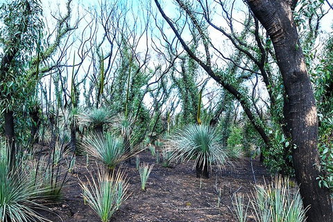 NEW TOUR - Kangaroo Island Road To Recovery Tour (1 Day/1 Night) - Accommodation Newcastle 3