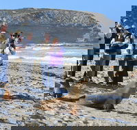 Full day Seal Bay Experience departing from Kangaroo Island - Accommodation Newcastle