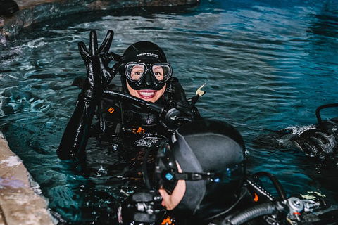 Cairns Aquarium Dive With The Sharks - Accommodation Newcastle 0