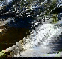 Cradle Mountain Day Tour from Launceston Including Lunch - Accommodation Newcastle