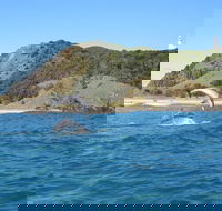 Kayaking with Dolphins in Byron Bay Guided Tour - Accommodation Newcastle
