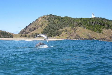 Kayaking With Dolphins In Byron Bay Guided Tour - Accommodation Newcastle 0