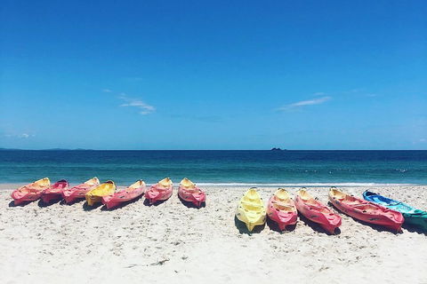 Kayaking With Dolphins In Byron Bay Guided Tour - Accommodation Newcastle 1