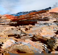 Broome City Sightseeing Tour with Optional Camel Ride - Accommodation Newcastle