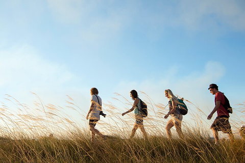 Kakadu National Park Wildlife And Ubirr Rock Art Tour From Darwin City - Accommodation Newcastle 4