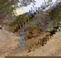 Mount Lofty Descent Bike Tour from Adelaide - Accommodation Newcastle