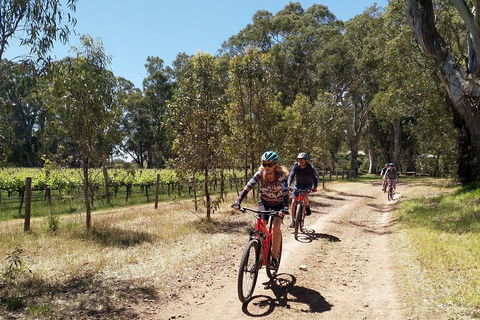 McLaren Vale Wine Tour By Bike - Accommodation Newcastle 1