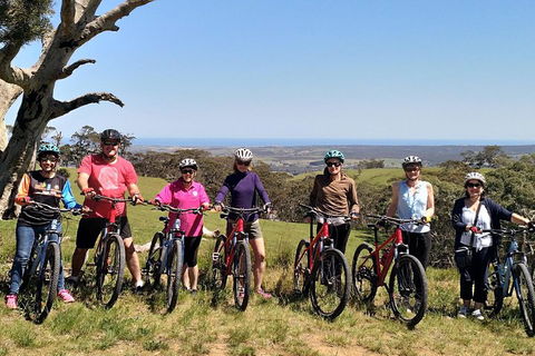 McLaren Vale Wine Tour By Bike - Accommodation Newcastle 2