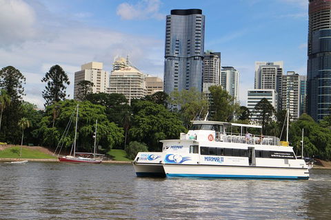 Lone Pine Koala Sanctuary Admission With Brisbane River Cruise - Accommodation Newcastle 2