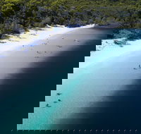 All-Inclusive Fraser Island Day Tour - Accommodation Newcastle