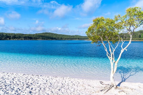 Lake McKenzie Full-Day Tour With Lunch From Hervey Bay - Accommodation Newcastle 1