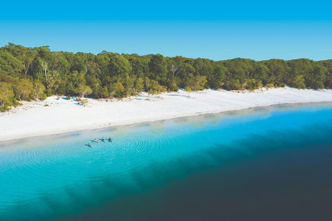 Lake McKenzie Full-Day Tour With Lunch From Hervey Bay - Accommodation Newcastle 4