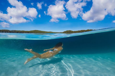 Lake McKenzie Full-Day Tour With Lunch From Hervey Bay - Accommodation Newcastle 5