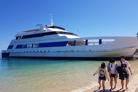 Moreton Island Day Trip (Kayak, Snorkel & Sandboard) Frm Brisbane Or Gold Coast - Accommodation Newcastle 0