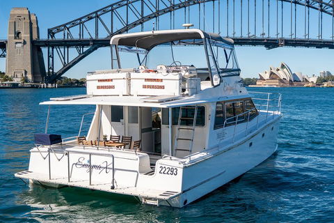 Vivid 90-Minute Sydney Harbour Small Group Catamaran Cruise - Accommodation Newcastle 4