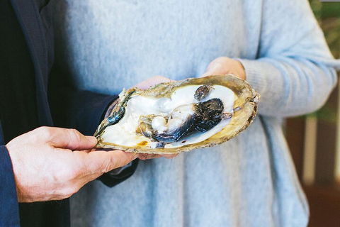 Half-Day Willie Creek Pearl Farm Tour With Helicopter Flight - Accommodation Newcastle 3