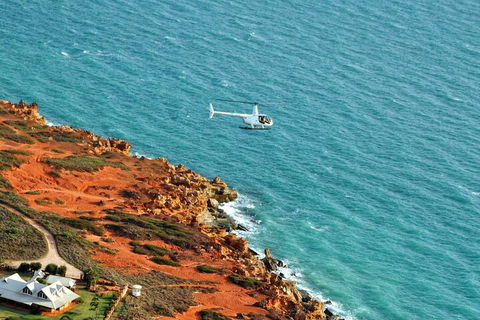 Half-Day Willie Creek Pearl Farm Tour With Helicopter Flight - Accommodation Newcastle 4