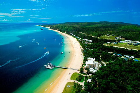 Tangalooma Island Resort Whale Watching Day Cruise - Accommodation Newcastle 2
