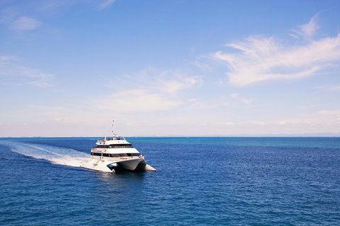 Tangalooma Island Resort Whale Watching Day Cruise - Accommodation Newcastle 5