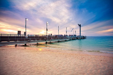 Tangalooma Island Resort Whale Watching Day Cruise With Dolphin Viewing - Accommodation Newcastle 3