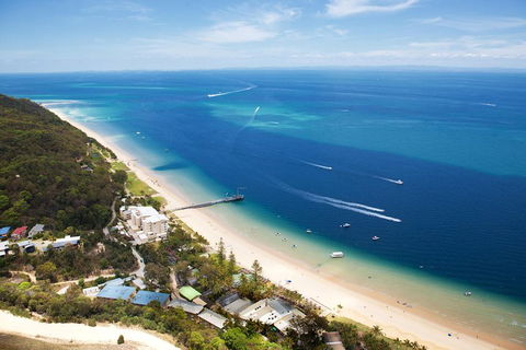 Tangalooma Island Resort Whale Watching Day Cruise With Dolphin Feeding - Accommodation Newcastle 2