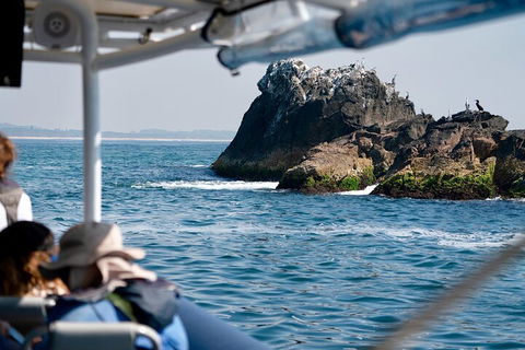Julian Rocks Byron Bay Cruise - Accommodation Newcastle 2