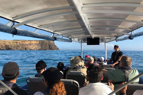 Julian Rocks Byron Bay Cruise - Accommodation Newcastle 4
